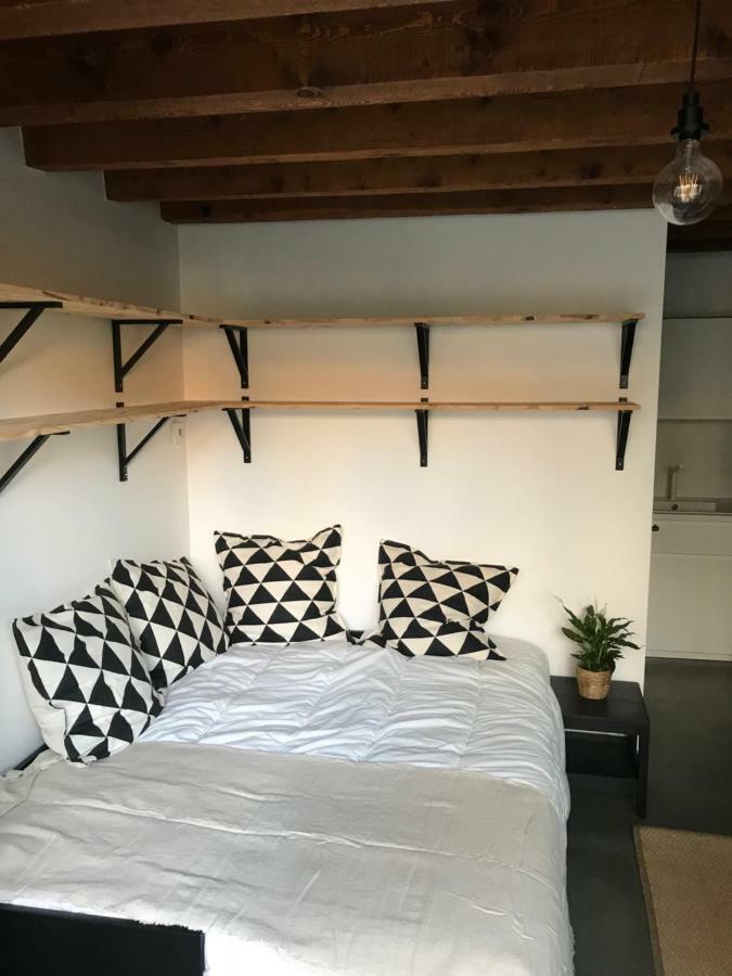 Le Studio Du Moulin Apartment Chambery Exterior photo